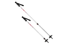 MSR DynaLock Trail Poles